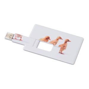 USB personalizado en forma de tarjeta, ideal como regalo promocional para eventos y publicidad de empresas.