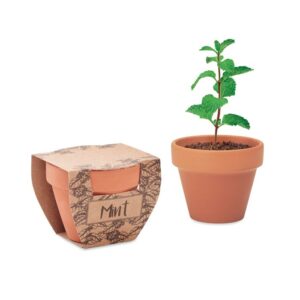 Maceta personalizada con planta de menta, ideal como regalo publicitario para empresas en promociones y eventos.