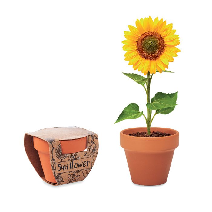 Maceta personalizada con girasol, ideal como regalo publicitario para empresas en eventos y promociones. Atrae la atención de tus clientes.